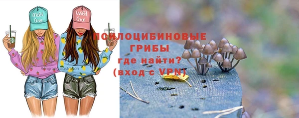 PSILOCYBIN Беломорск