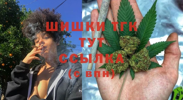 тгк Белокуриха