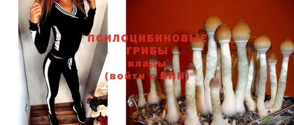 мяу мяу мука Белоозёрский