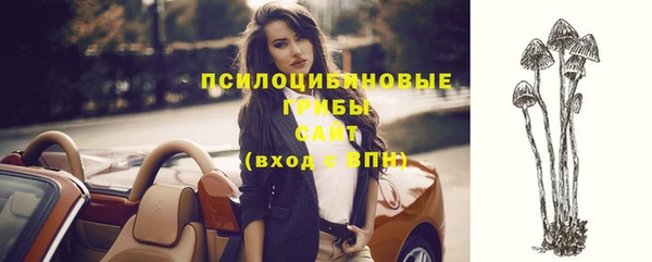 мяу мяу мука Белоозёрский