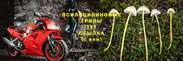 PSILOCYBIN Беломорск