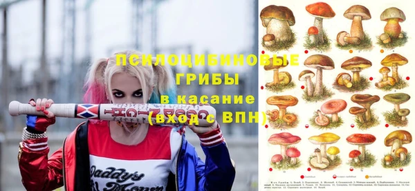 PSILOCYBIN Беломорск