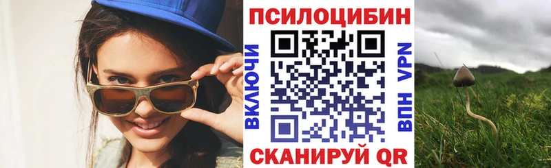 Галлюциногенные грибы Psilocybine cubensis  где можно купить наркотик  Кропоткин 
