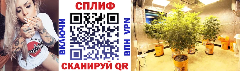 как найти наркотики  darknet как зайти  Шишки марихуана Ganja  Кропоткин 